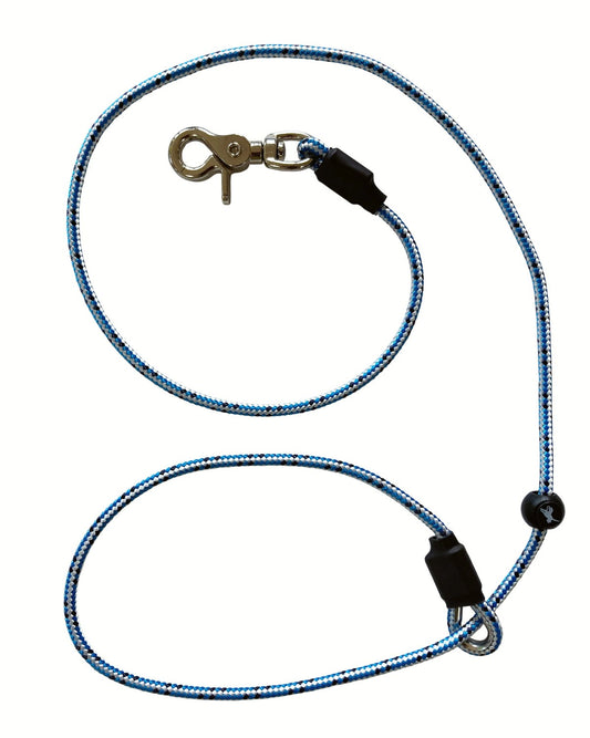 Sporting Saint Field Pro Hands Free Lead